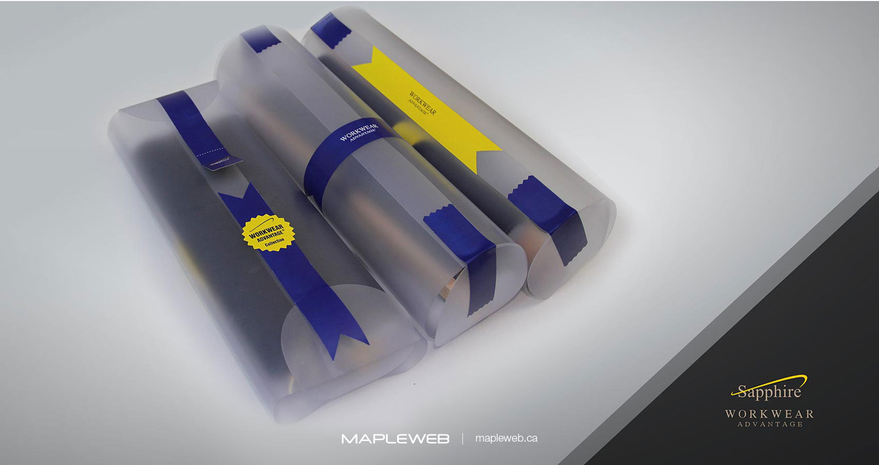 Sapphire Plastic Tool Kit Box Brand design by Mapleweb